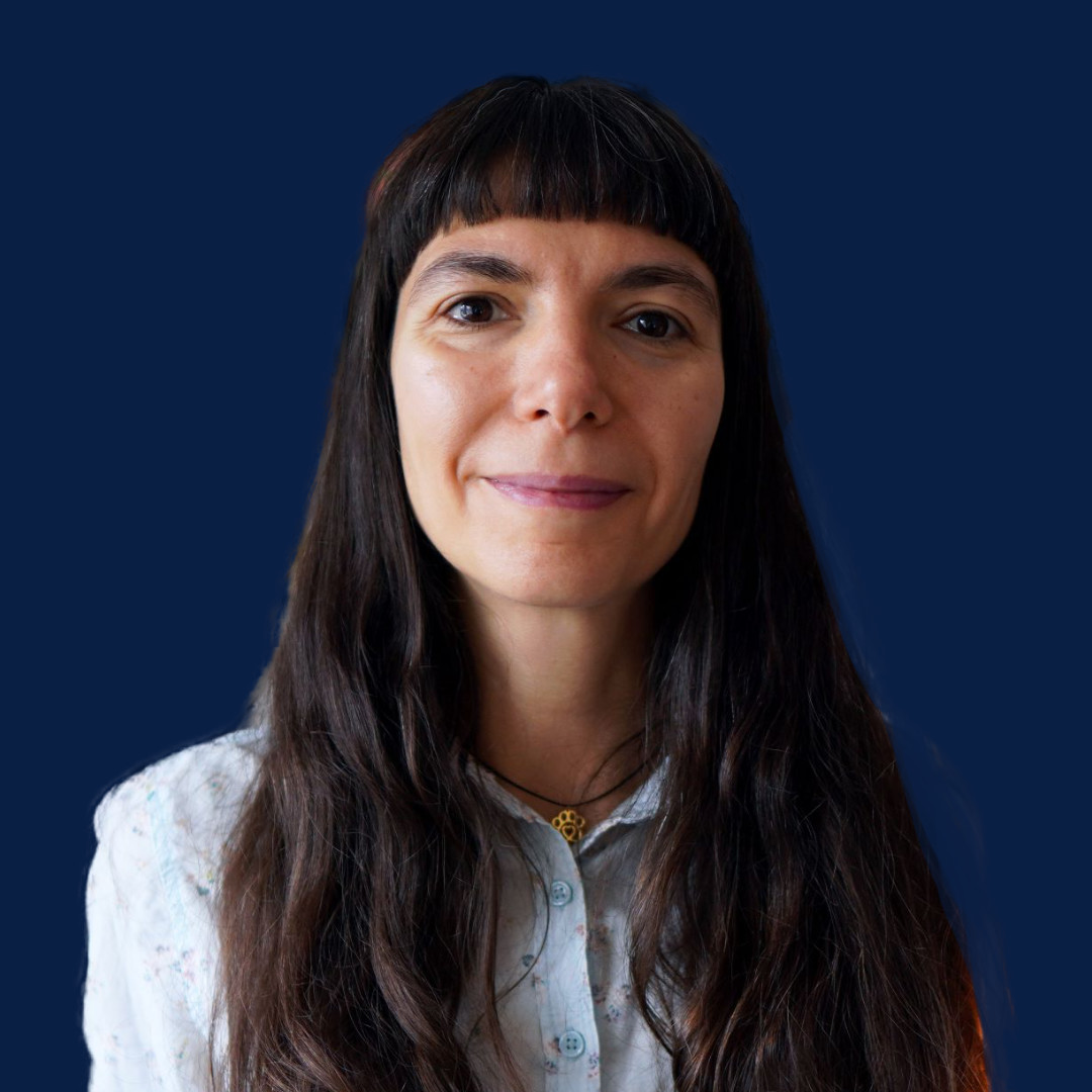 adina georgescu legalzen ai adina georgescu legalzen ai